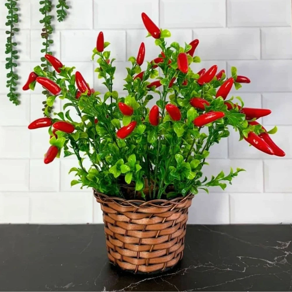 Arranjo Botânico Red Pepper Bellanzo em Cachepô Trançado Natural